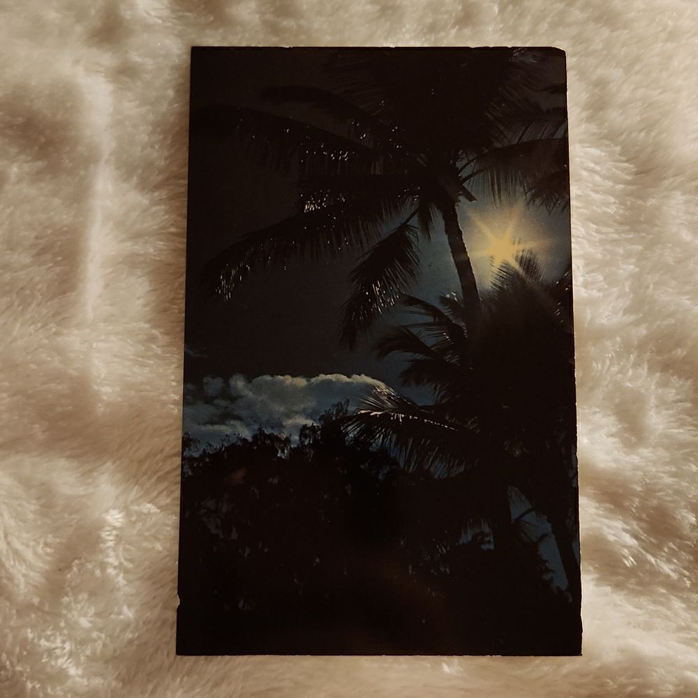 Hawaiian Cocopalms in the Moonlite Sky Vintage Postcard